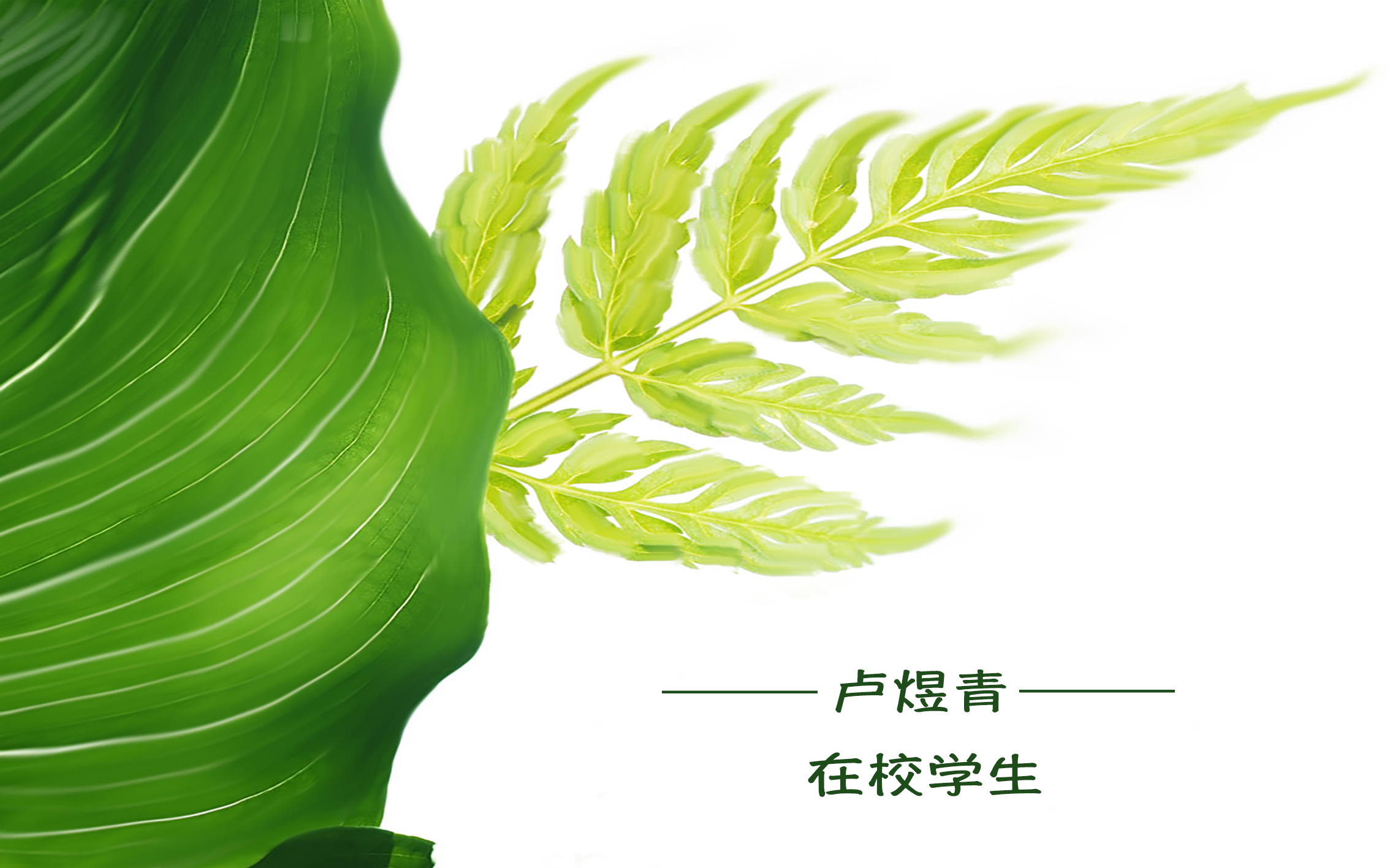 幸福的貓的個人主頁（封面預(yù)覽） - 主頁封面設(shè)置 - 站酷設(shè)計師幸福的貓原創(chuàng)素材 - 站酷ZCOOL