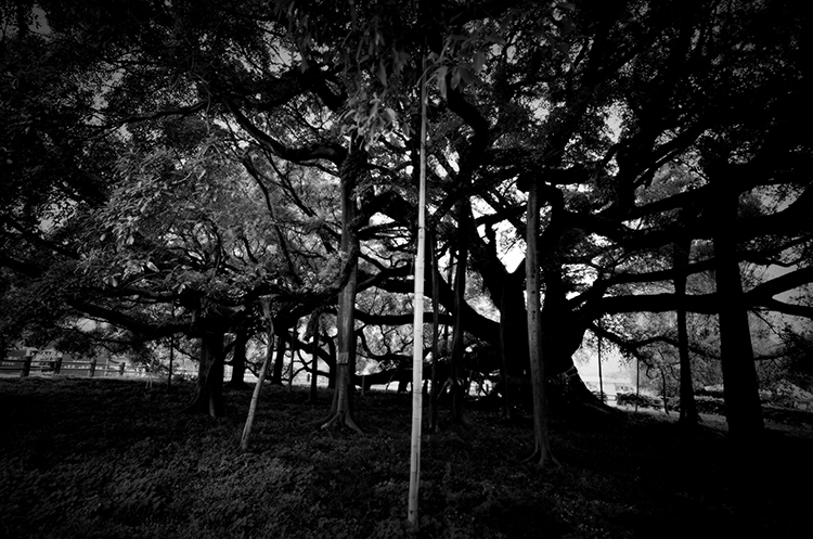 放开多啦A梦的个人主页（封面预览） - 主页封面设置 - 站酷设计师放开多啦A梦原创素材 - 站酷ZCOOL