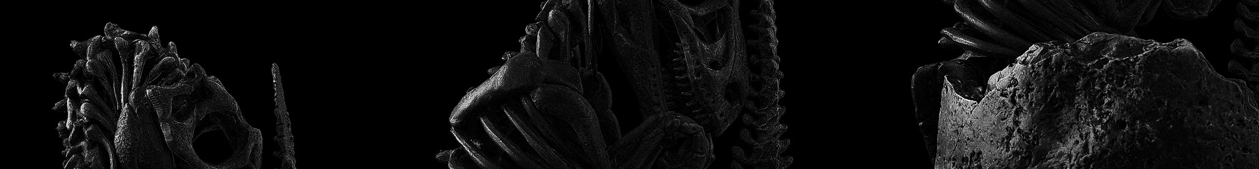 汉堡森的个人主页（封面预览） - 主页封面设置 - 站酷设计师汉堡森原创素材 - 站酷ZCOOL