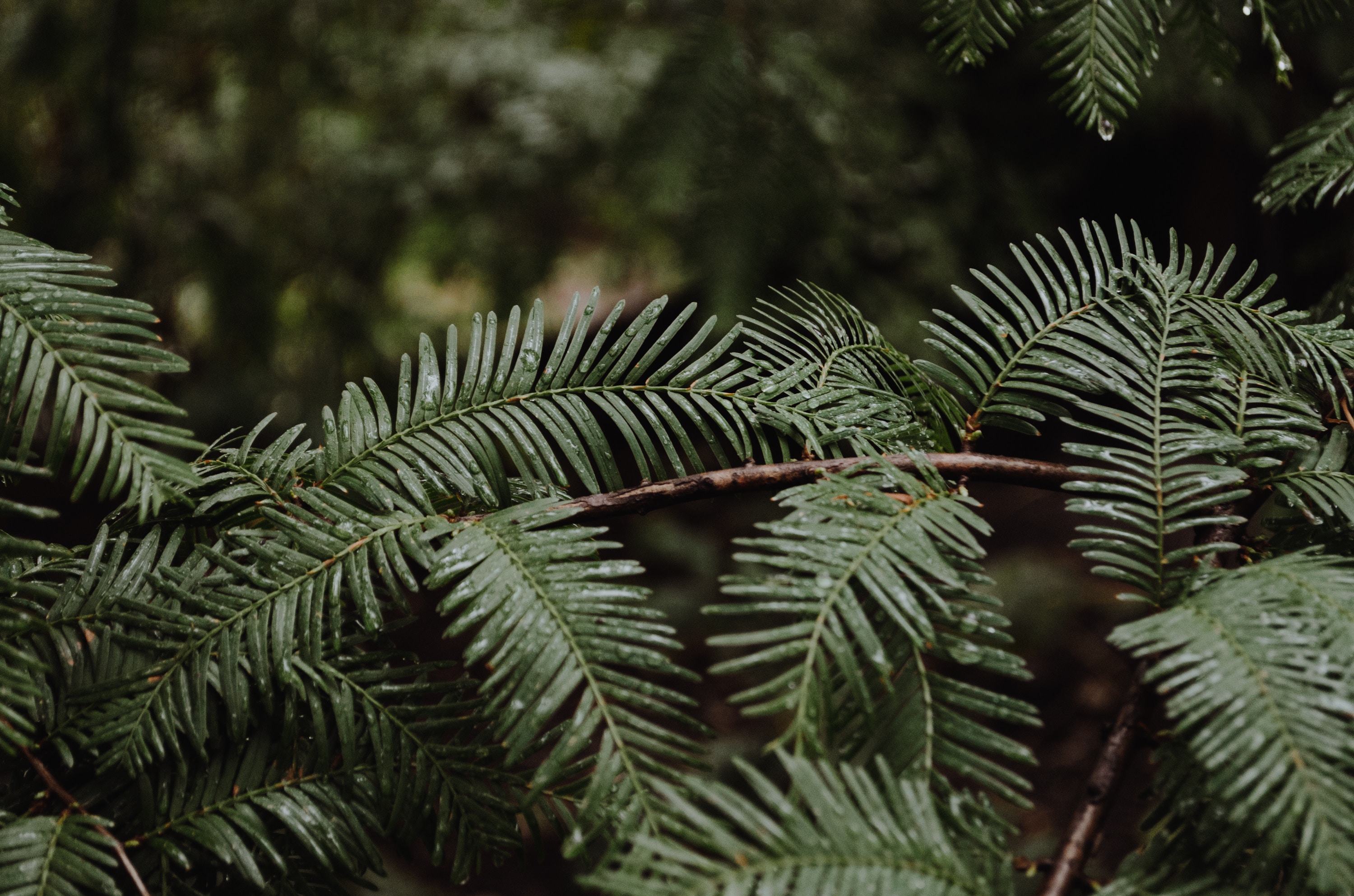陳小錚的個人主頁（封面預(yù)覽） - 主頁封面設(shè)置 - 站酷設(shè)計師陳小錚原創(chuàng)素材 - 站酷ZCOOL