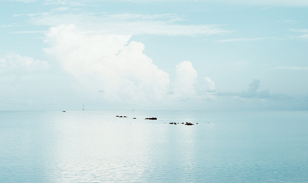 Jelly吴忧的个人主页（封面预览） - 主页封面设置 - 站酷设计师Jelly吴忧原创素材 - 站酷ZCOOL