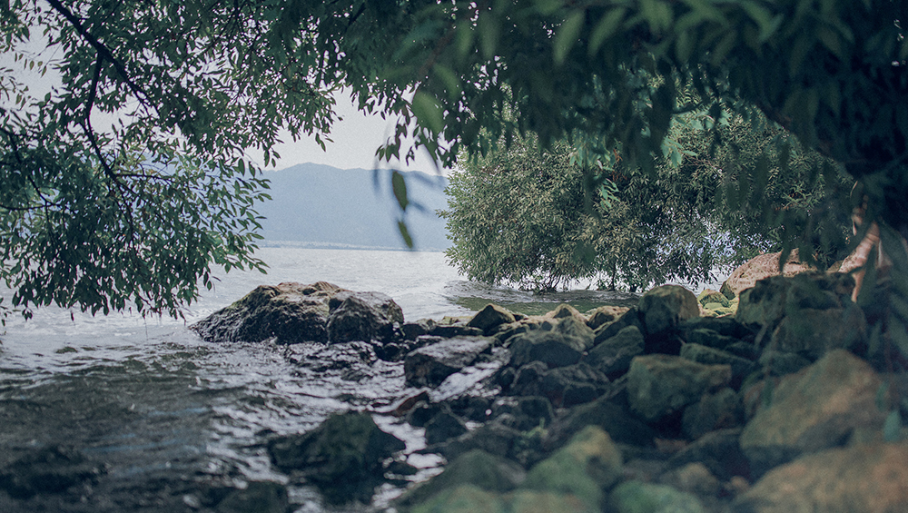 乔巴飞飞飞的个人主页（封面预览） - 主页封面设置 - 站酷设计师乔巴飞飞飞原创素材 - 站酷ZCOOL