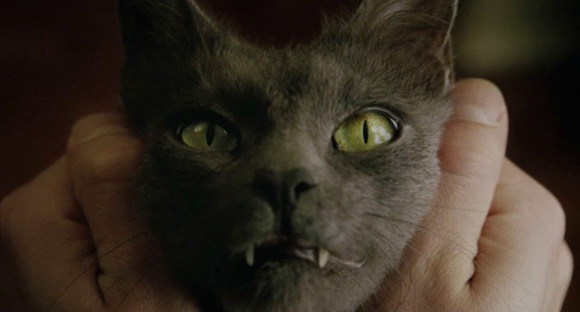 山之的个人主页（封面预览） - 主页封面设置 - 站酷设计师山之原创素材 - 站酷ZCOOL