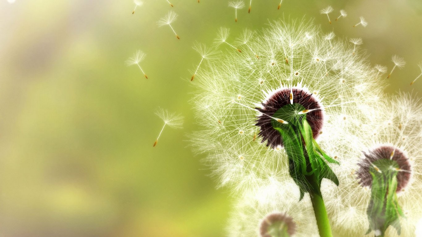 陌上花又开的个人主页（封面预览） - 主页封面设置 - 站酷设计师陌上花又开原创素材 - 站酷ZCOOL