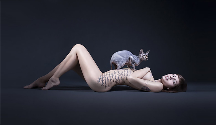 MRbiubiubiu的个人主页（封面预览） - 主页封面设置 - 站酷设计师MRbiubiubiu原创素材 - 站酷ZCOOL