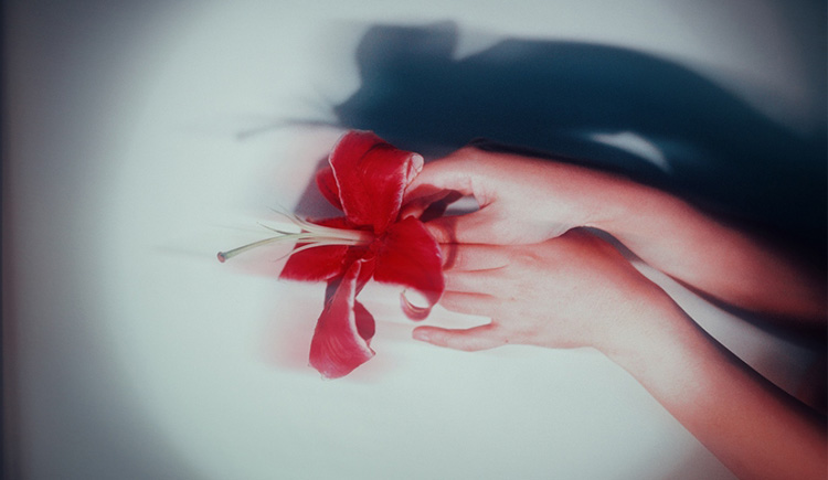 冬辰的个人主页（封面预览） - 主页封面设置 - 站酷设计师冬辰原创素材 - 站酷ZCOOL