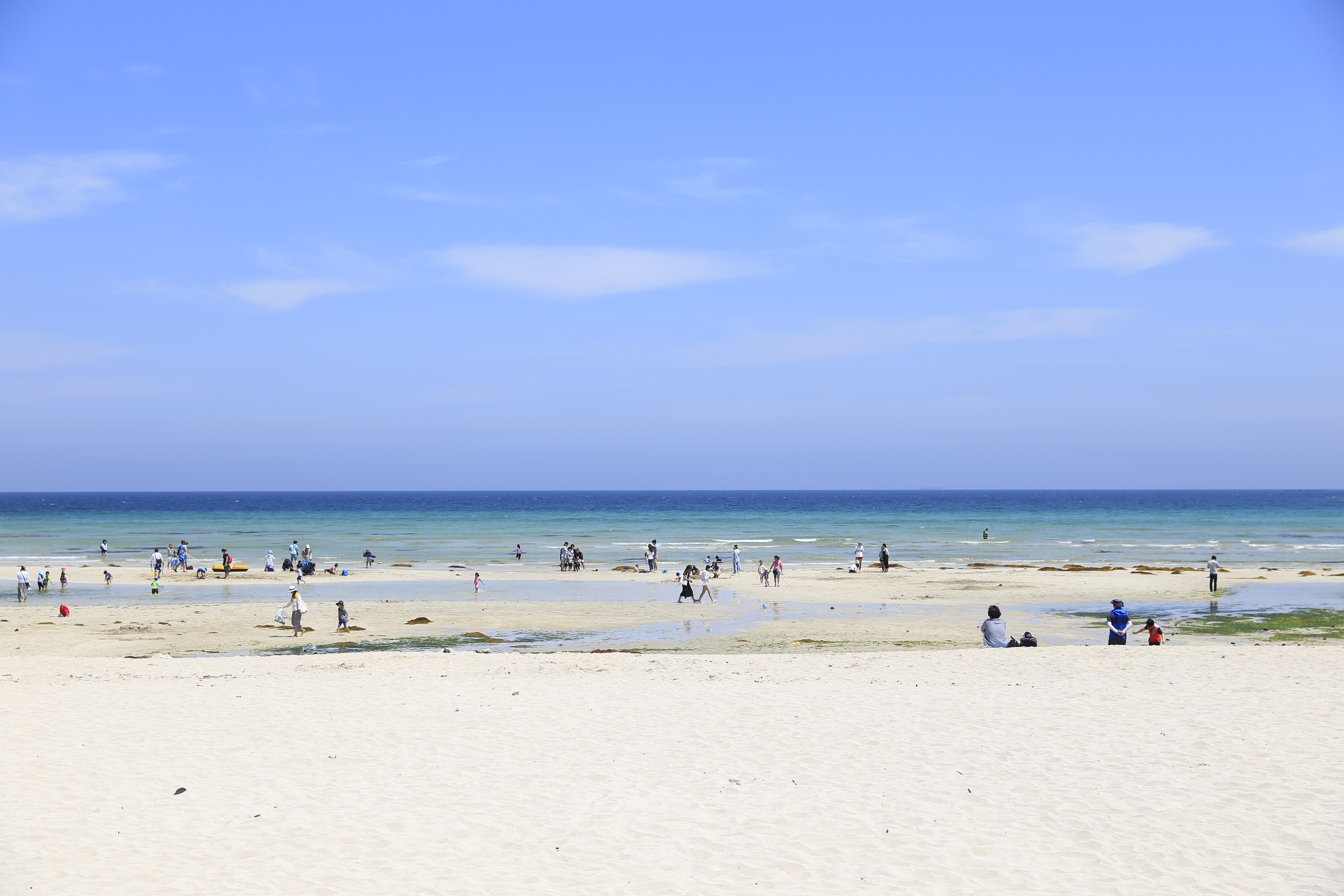 魚籽橙的個(gè)人主頁（封面預(yù)覽） - 主頁封面設(shè)置 - 站酷設(shè)計(jì)師魚籽橙原創(chuàng)素材 - 站酷ZCOOL