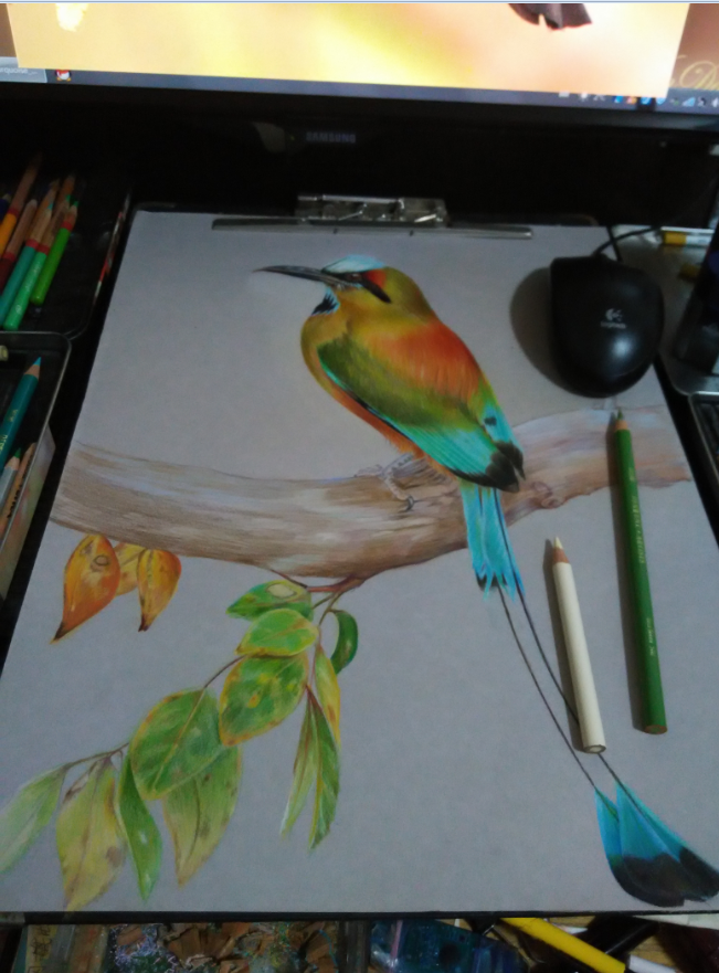 夏目侑子的个人主页（封面预览） - 主页封面设置 - 站酷设计师夏目侑子原创素材 - 站酷ZCOOL