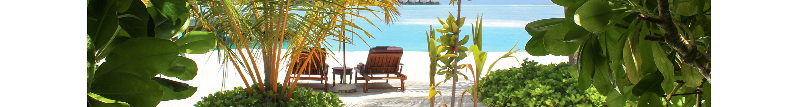 妹小藍的個人主頁（封面預覽） - 主頁封面設置 - 站酷設計師妹小藍原創(chuàng)素材 - 站酷ZCOOL