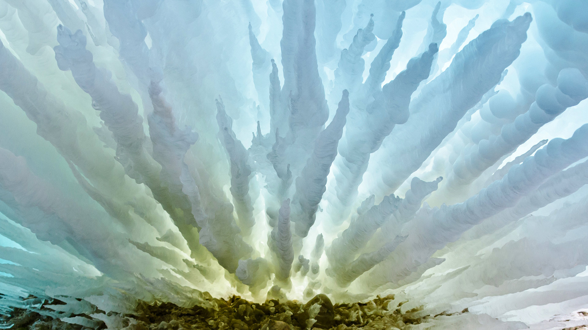 夏日微梁的个人主页（封面预览） - 主页封面设置 - 站酷设计师夏日微梁原创素材 - 站酷ZCOOL