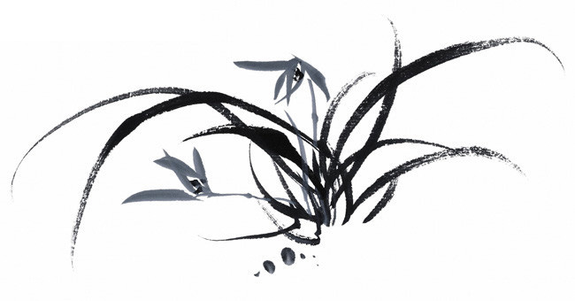 A大金子的个人主页（封面预览） - 主页封面设置 - 站酷设计师A大金子原创素材 - 站酷ZCOOL