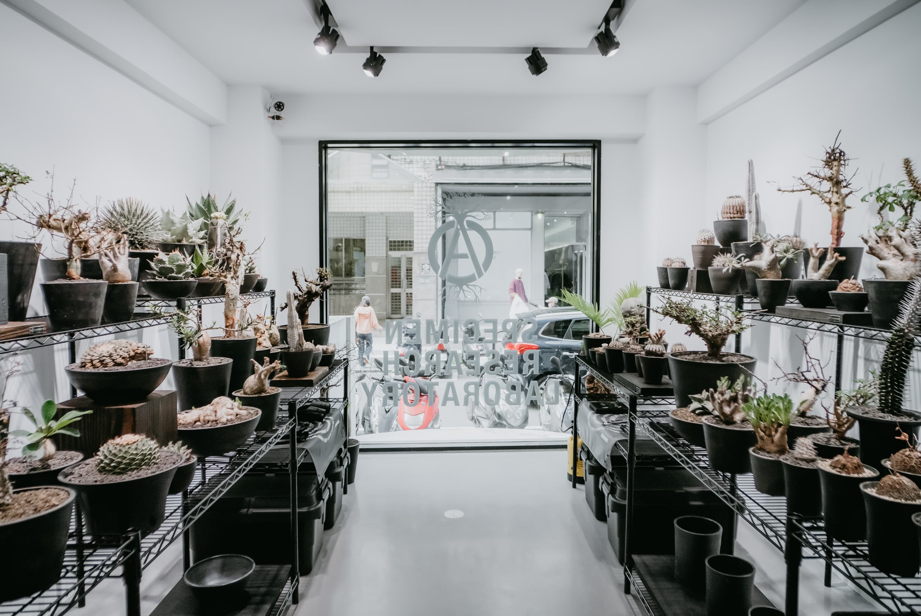 陳大雍的个人主页（封面预览） - 主页封面设置 - 站酷设计师陳大雍原创素材 - 站酷ZCOOL