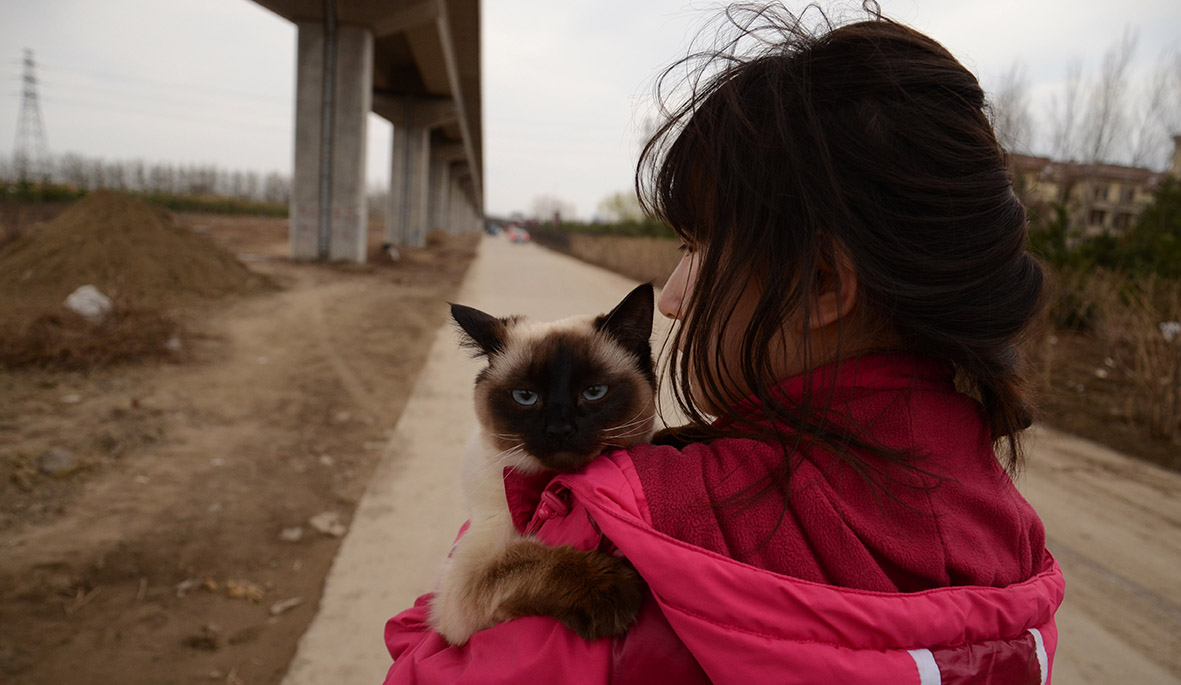 刁美腻的个人主页（封面预览） - 主页封面设置 - 站酷设计师刁美腻原创素材 - 站酷ZCOOL