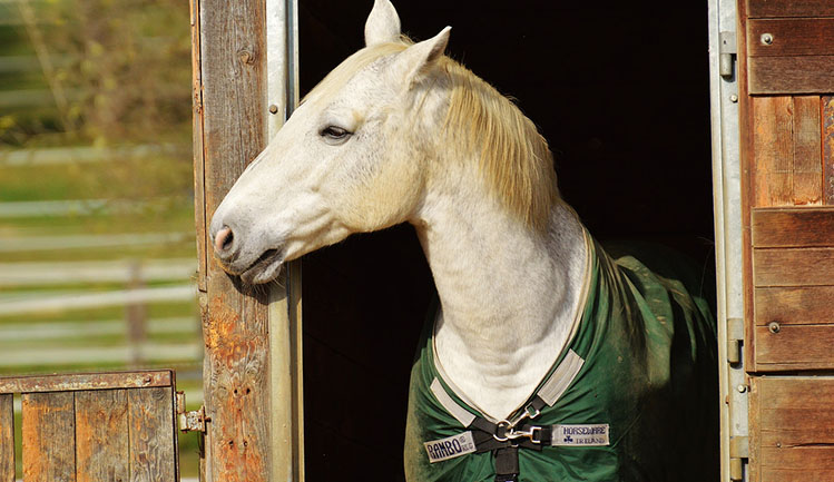 劉66_的個(gè)人主頁(yè)（封面預(yù)覽） - 主頁(yè)封面設(shè)置 - 站酷設(shè)計(jì)師劉66_原創(chuàng)素材 - 站酷ZCOOL