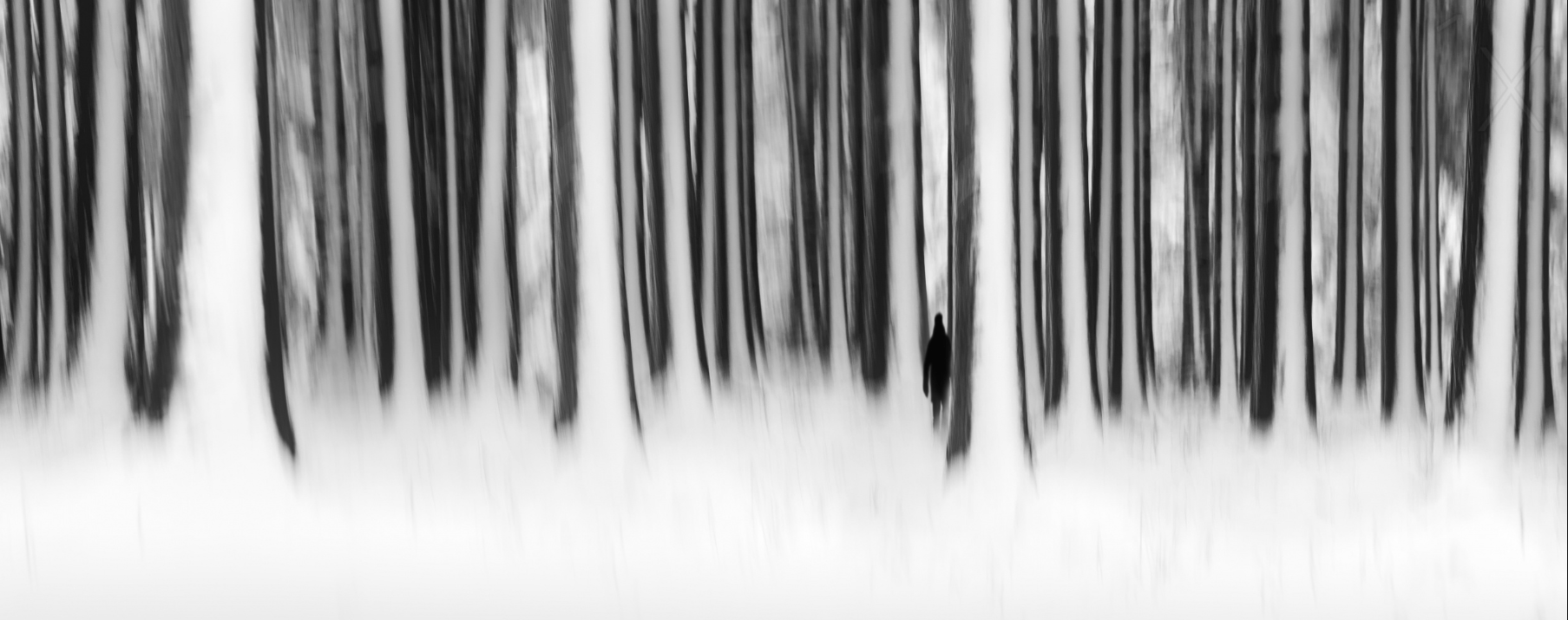 阿橘阿橘的个人主页（封面预览） - 主页封面设置 - 站酷设计师阿橘阿橘原创素材 - 站酷ZCOOL