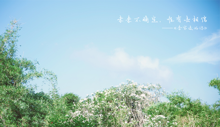 易小木的个人主页（封面预览） - 主页封面设置 - 站酷设计师易小木原创素材 - 站酷ZCOOL