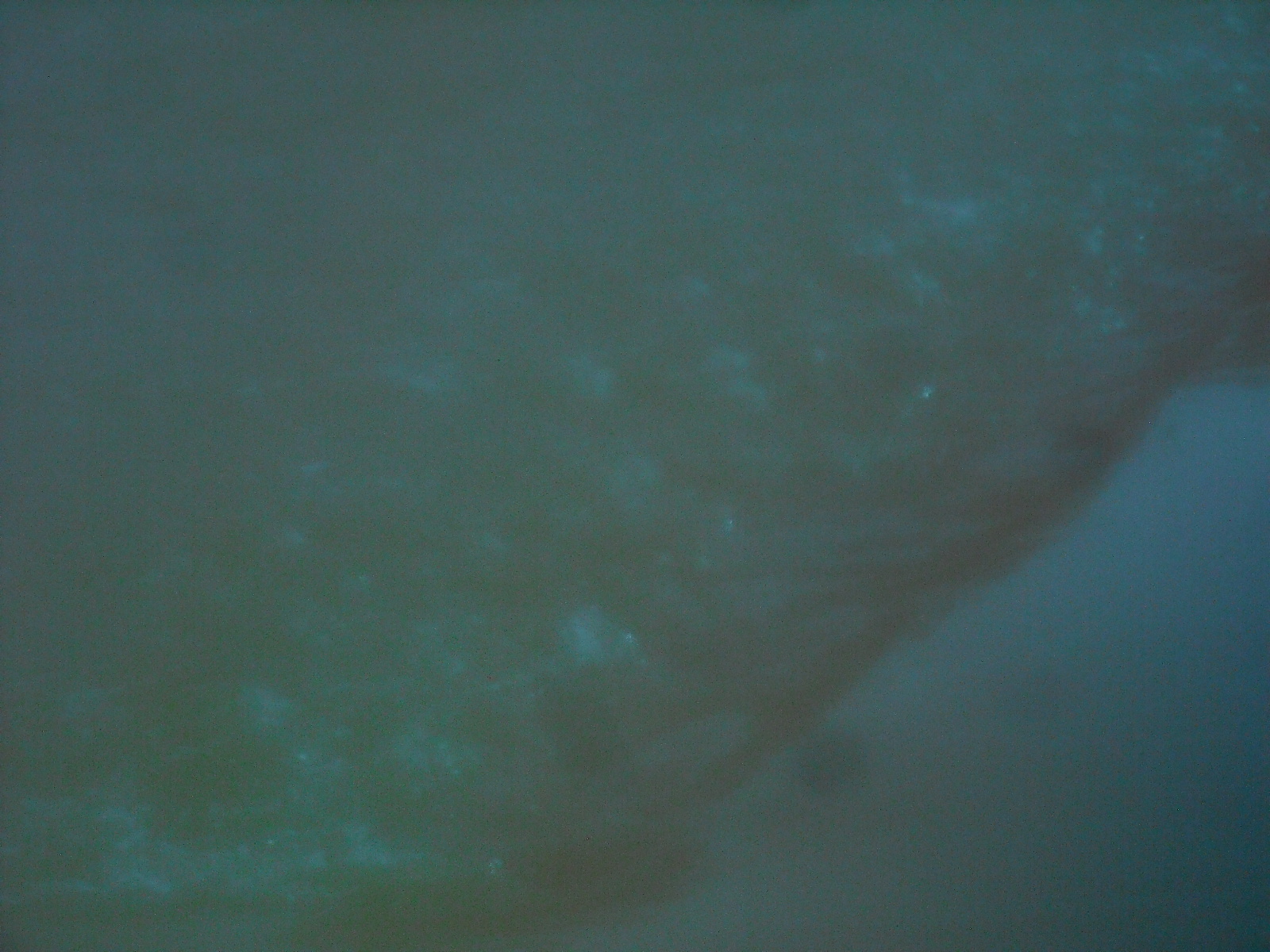 臭臭喵的个人主页（封面预览） - 主页封面设置 - 站酷设计师臭臭喵原创素材 - 站酷ZCOOL