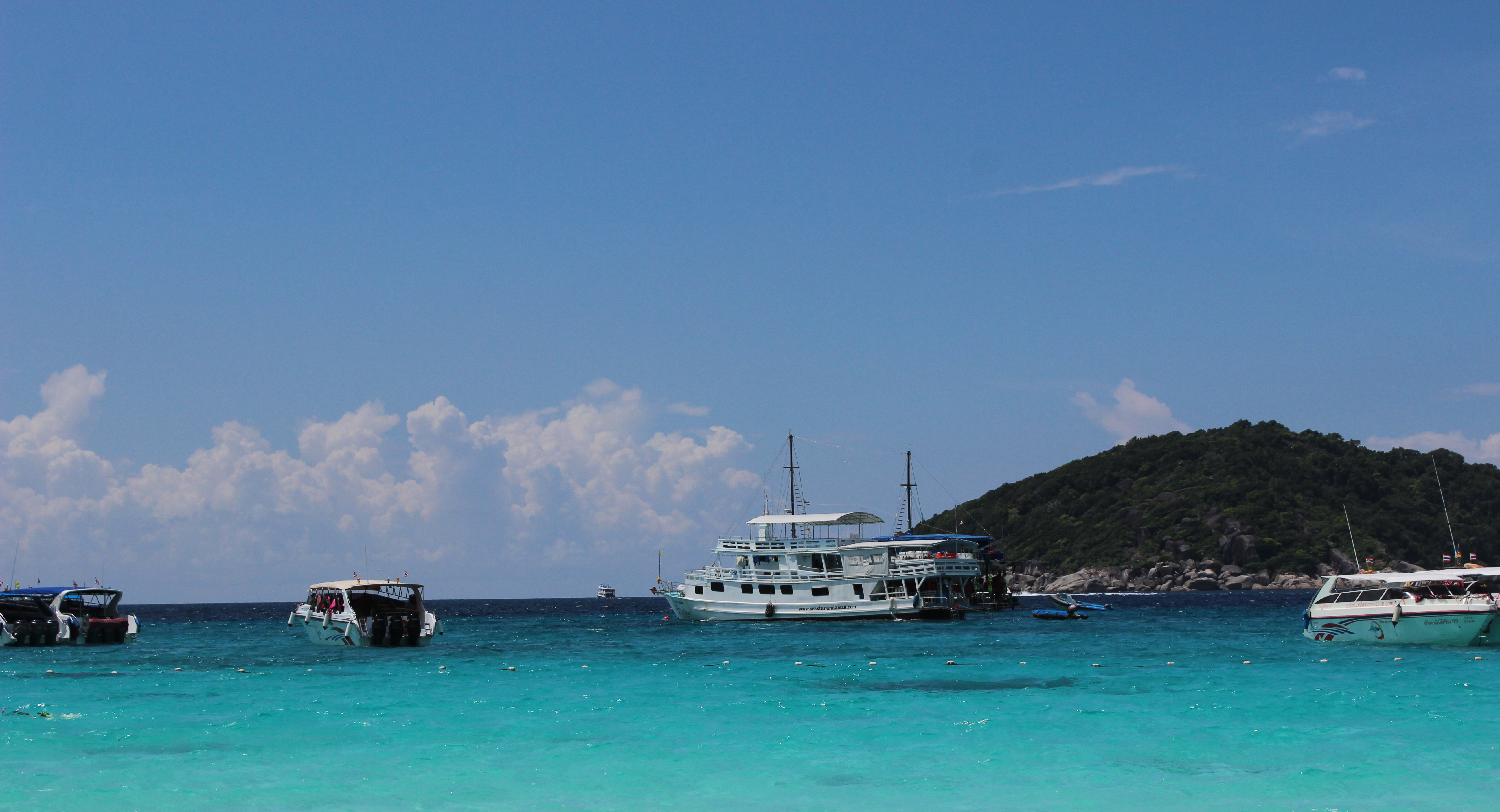 陶子淘的个人主页（封面预览） - 主页封面设置 - 站酷设计师陶子淘原创素材 - 站酷ZCOOL