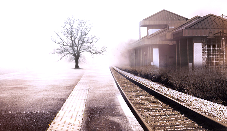 lqjy421030的个人主页（封面预览） - 主页封面设置 - 站酷设计师lqjy421030原创素材 - 站酷ZCOOL