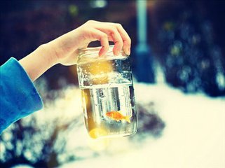 夜之嫣然的个人主页（封面预览） - 主页封面设置 - 站酷设计师夜之嫣然原创素材 - 站酷ZCOOL