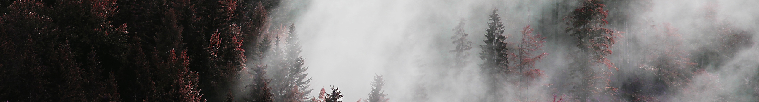 kenshin的个人主页（封面预览） - 主页封面设置 - 站酷设计师kenshin原创素材 - 站酷ZCOOL