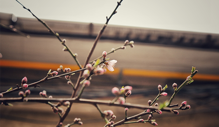 阿魚醬子的個人主頁（封面預(yù)覽） - 主頁封面設(shè)置 - 站酷設(shè)計師阿魚醬子原創(chuàng)素材 - 站酷ZCOOL