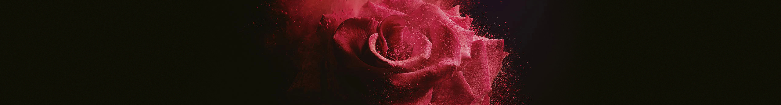 惶惶不可终日丶的个人主页（封面预览） - 主页封面设置 - 站酷设计师惶惶不可终日丶原创素材 - 站酷ZCOOL