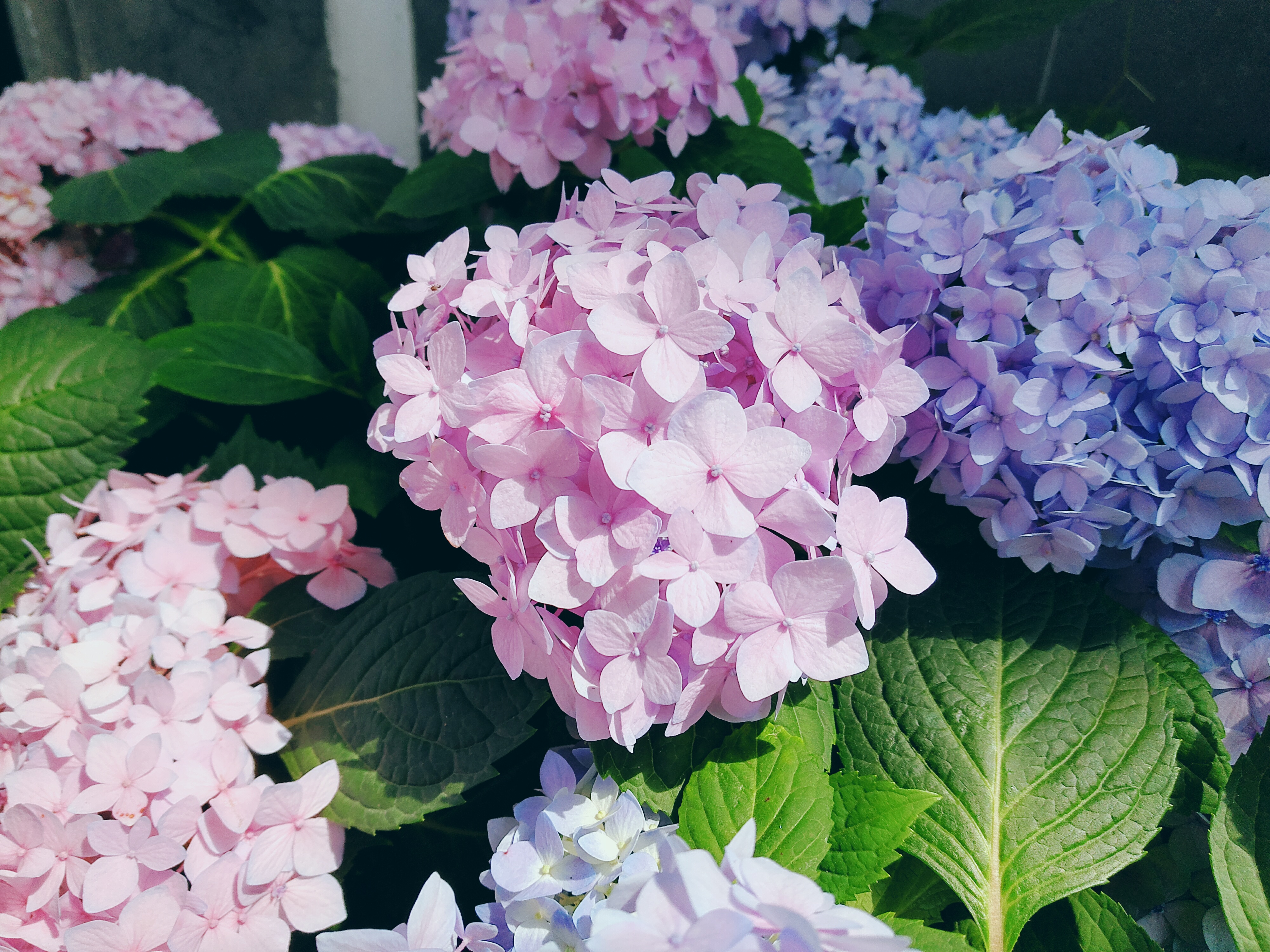 Little Emma的个人主页（封面预览） - 主页封面设置 - 站酷设计师Little Emma原创素材 - 站酷ZCOOL