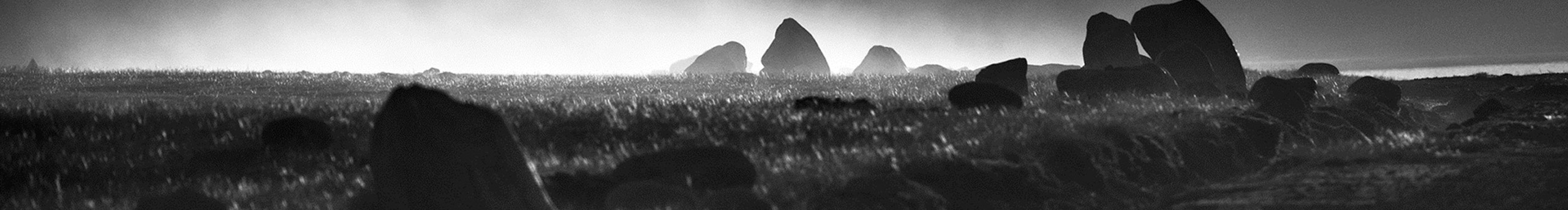 范范Eva的個人主頁（封面預(yù)覽） - 主頁封面設(shè)置 - 站酷設(shè)計師范范Eva原創(chuàng)素材 - 站酷ZCOOL