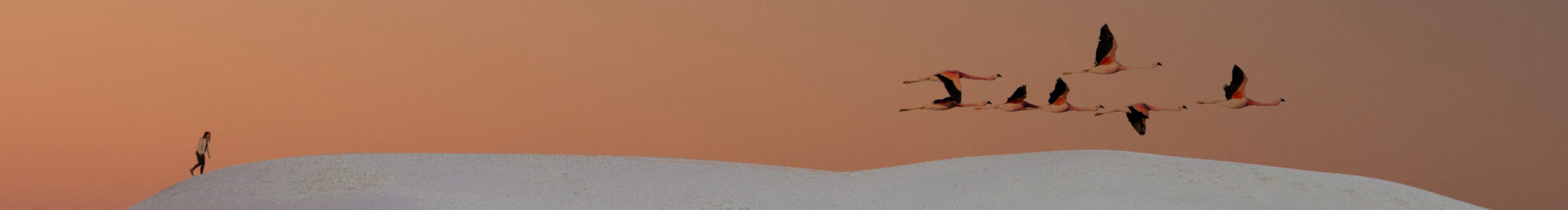 义昂的个人主页（封面预览） - 主页封面设置 - 站酷设计师义昂原创素材 - 站酷ZCOOL