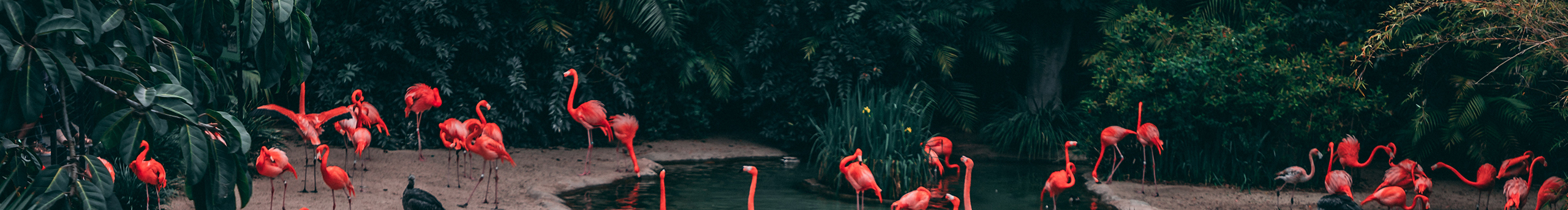 陆家伯的个人主页（封面预览） - 主页封面设置 - 站酷设计师陆家伯原创素材 - 站酷ZCOOL