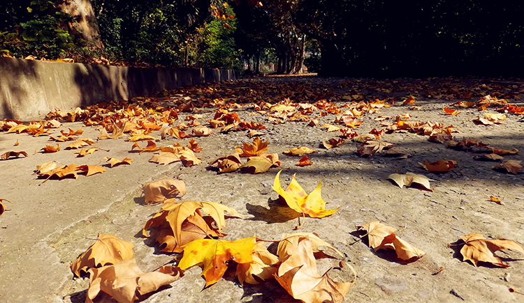 钟清媚的个人主页（封面预览） - 主页封面设置 - 站酷设计师钟清媚原创素材 - 站酷ZCOOL