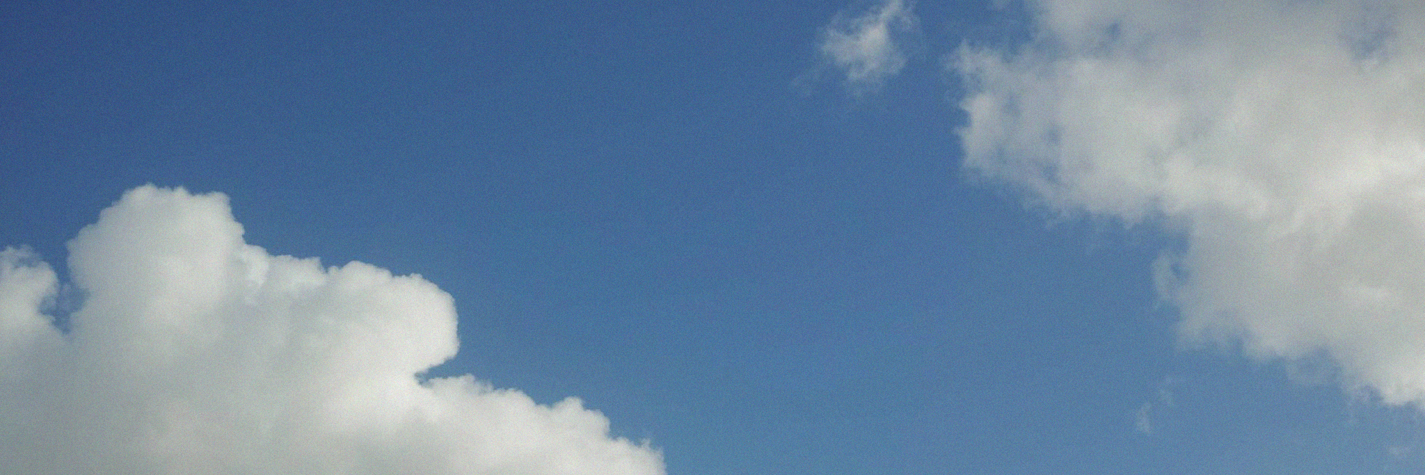 她是一只cat的个人主页（封面预览） - 主页封面设置 - 站酷设计师她是一只cat原创素材 - 站酷ZCOOL