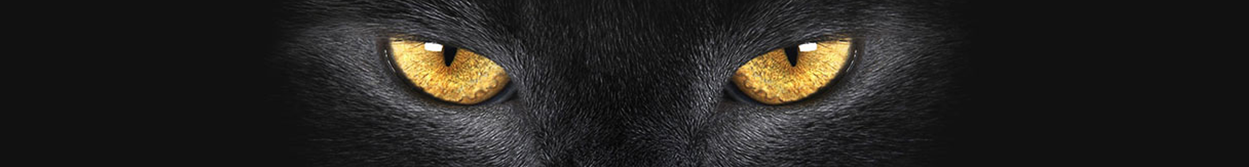 凌晨一点1710的个人主页（封面预览） - 主页封面设置 - 站酷设计师凌晨一点1710原创素材 - 站酷ZCOOL