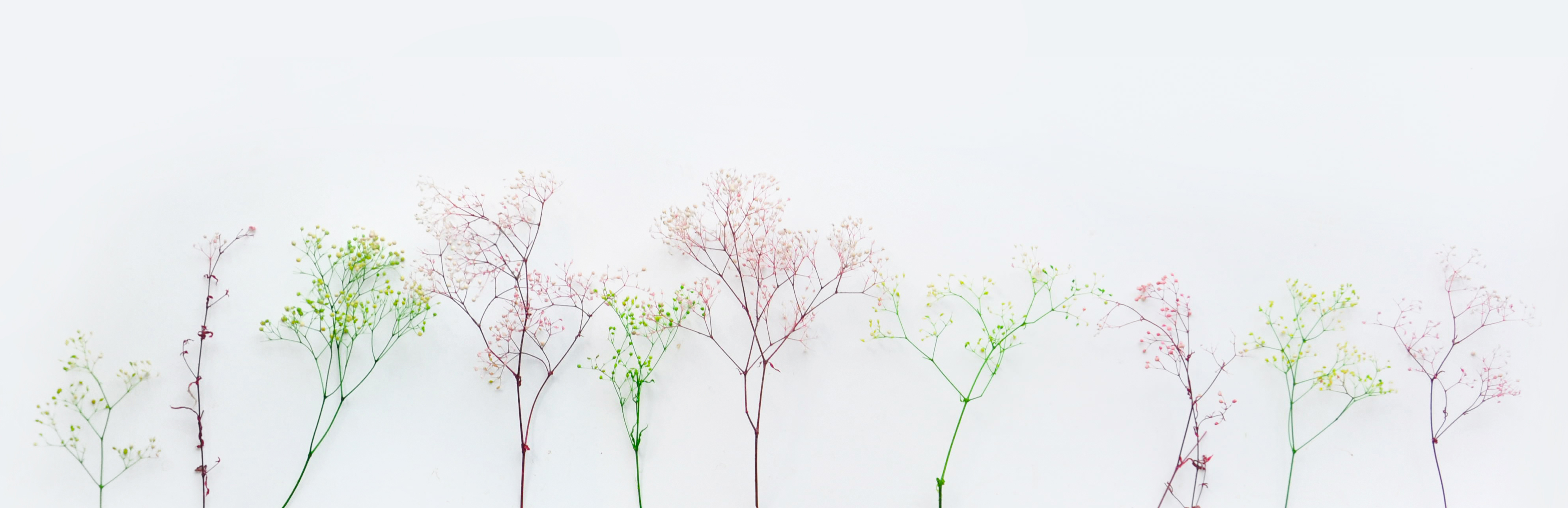 维果的个人主页（封面预览） - 主页封面设置 - 站酷设计师维果原创素材 - 站酷ZCOOL