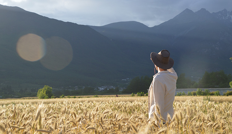 阿仙奴98的个人主页（封面预览） - 主页封面设置 - 站酷设计师阿仙奴98原创素材 - 站酷ZCOOL