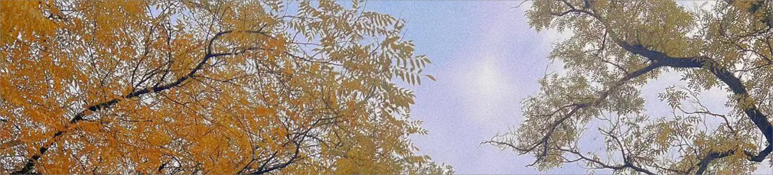 半夏Eureka的日常的個人主頁（封面預覽） - 主頁封面設(shè)置 - 站酷設(shè)計師半夏Eureka的日常原創(chuàng)素材 - 站酷ZCOOL