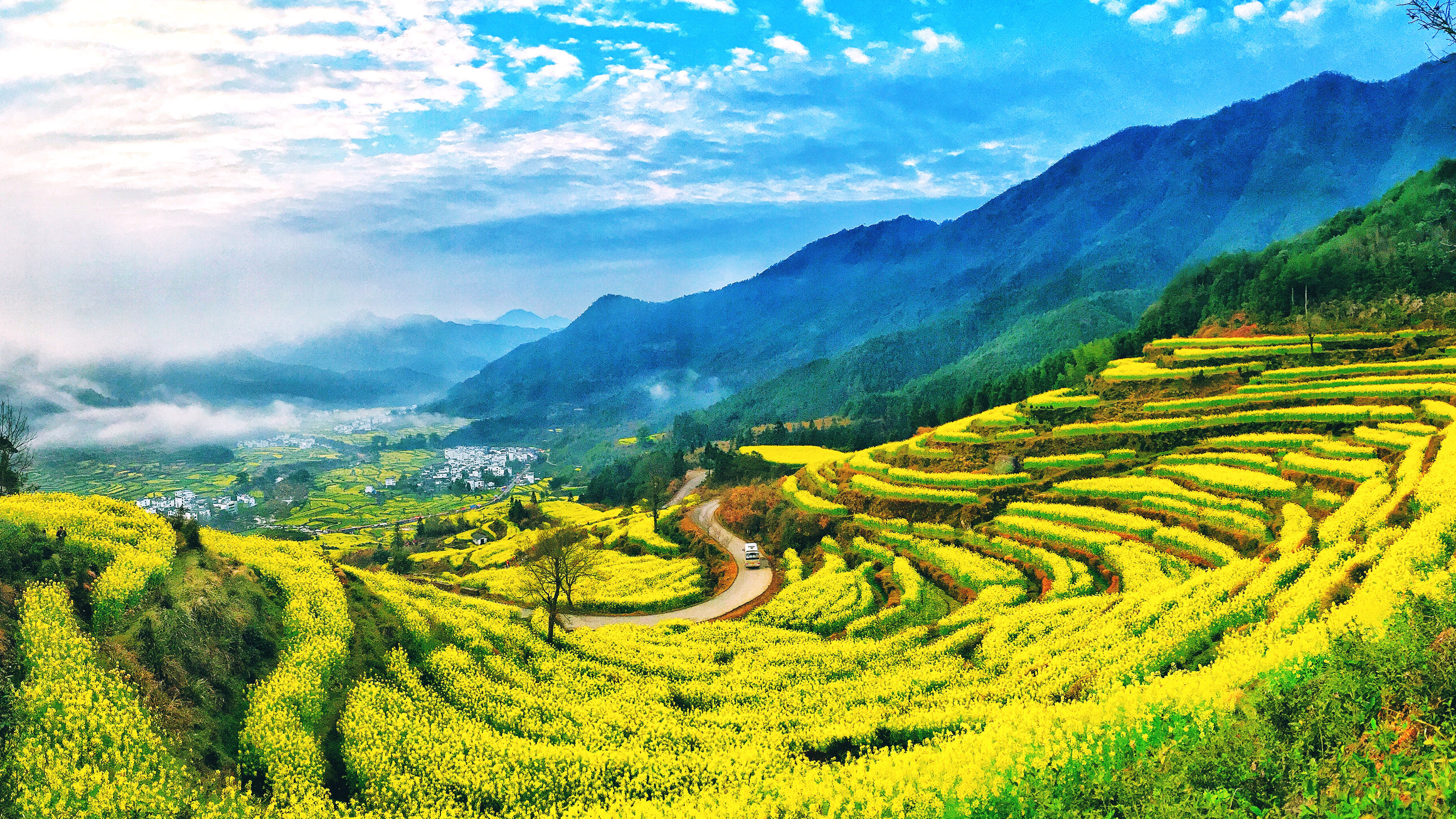 设计蘑菇粒的个人主页（封面预览） - 主页封面设置 - 站酷设计师设计蘑菇粒原创素材 - 站酷ZCOOL