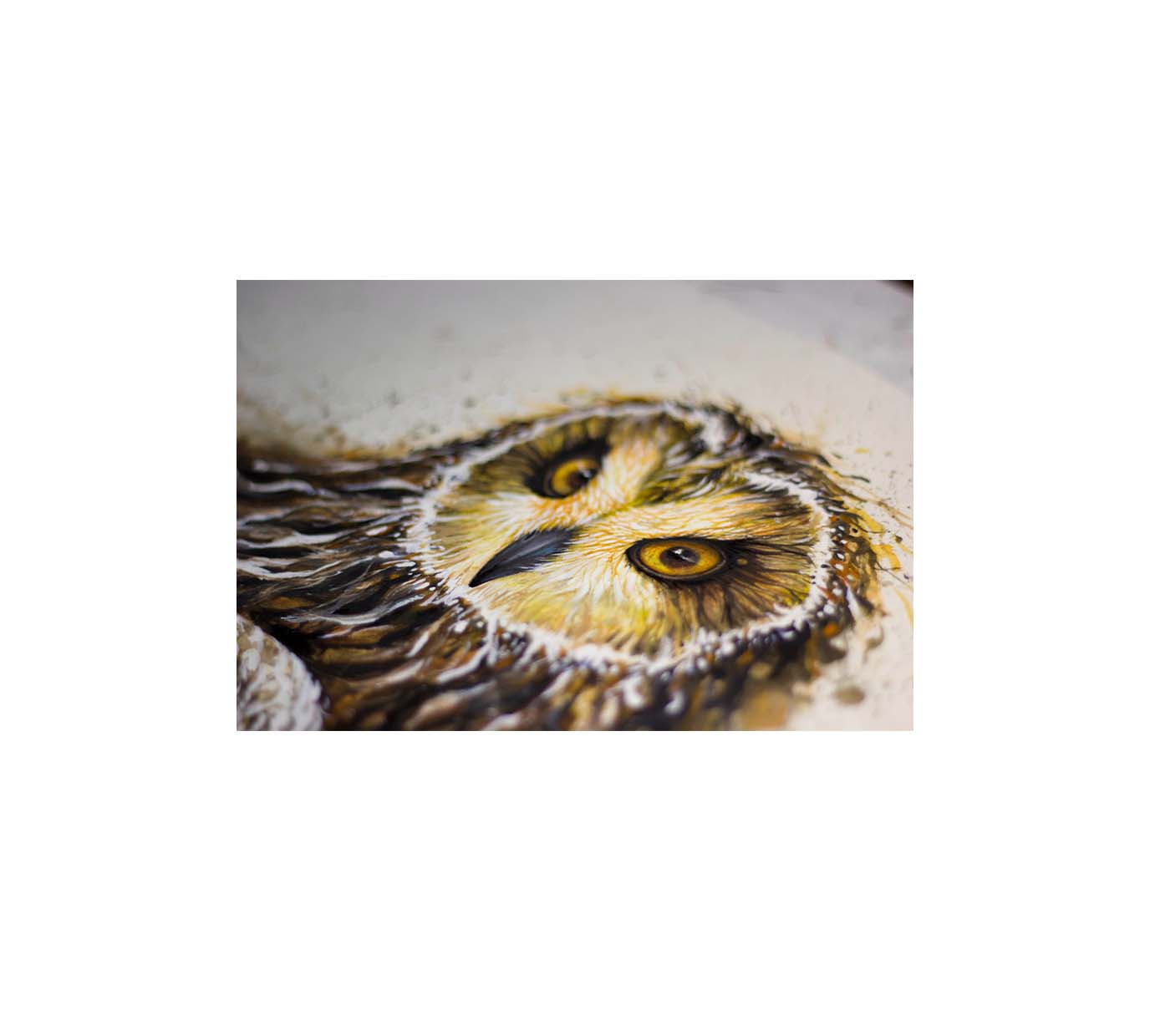 ZhongMingHao的個人主頁（封面預(yù)覽） - 主頁封面設(shè)置 - 站酷設(shè)計師ZhongMingHao原創(chuàng)素材 - 站酷ZCOOL