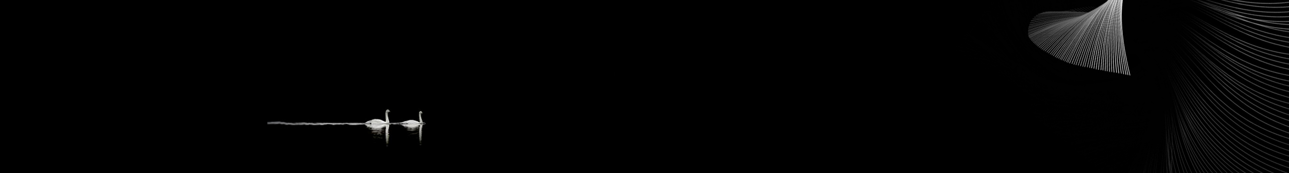 92小丫的个人主页（封面预览） - 主页封面设置 - 站酷设计师92小丫原创素材 - 站酷ZCOOL