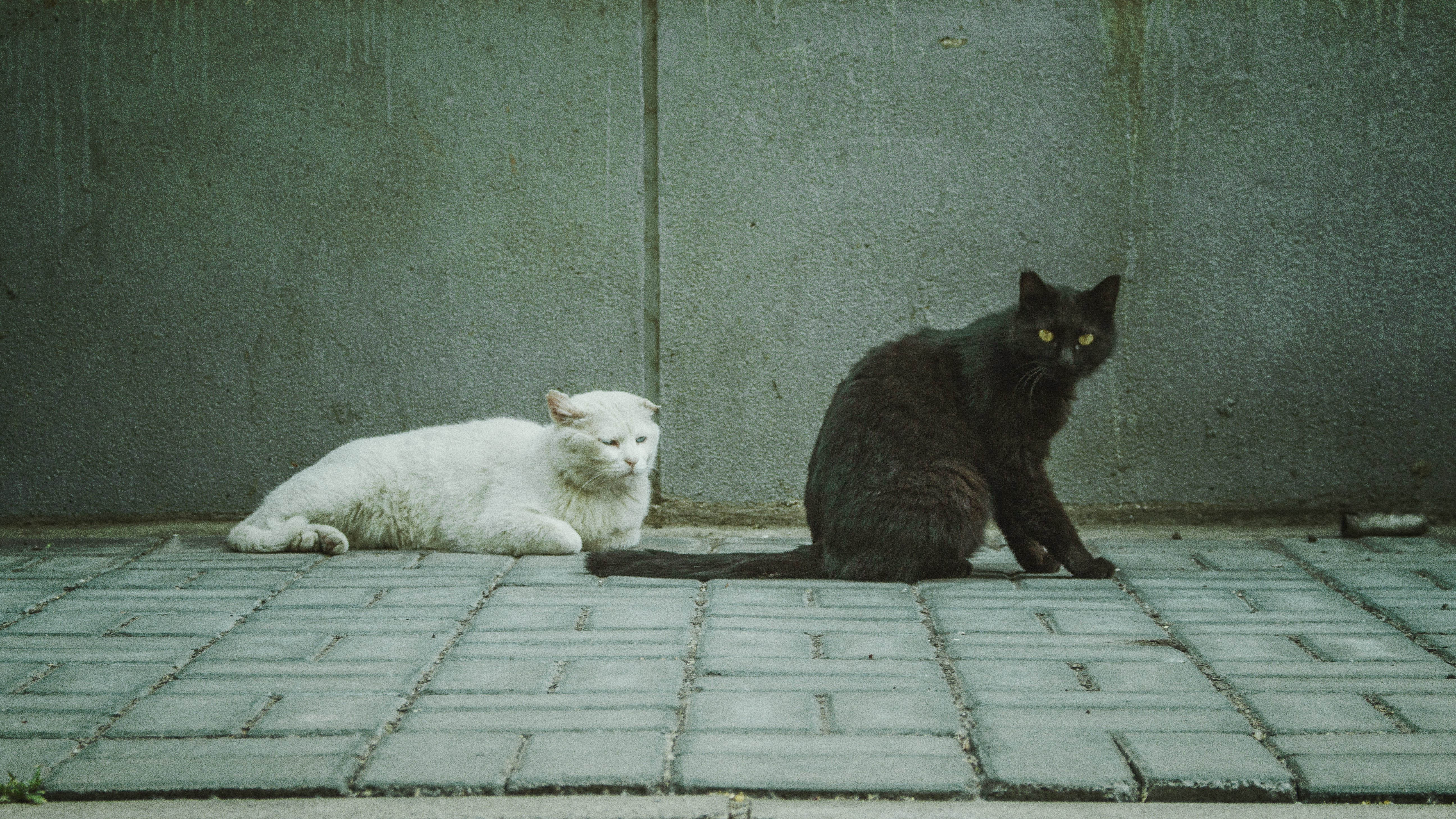 ZergMind的個人主頁（封面預(yù)覽） - 主頁封面設(shè)置 - 站酷設(shè)計師ZergMind原創(chuàng)素材 - 站酷ZCOOL