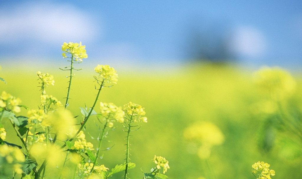 37度女生feng的个人主页（封面预览） - 主页封面设置 - 站酷设计师37度女生feng原创素材 - 站酷ZCOOL