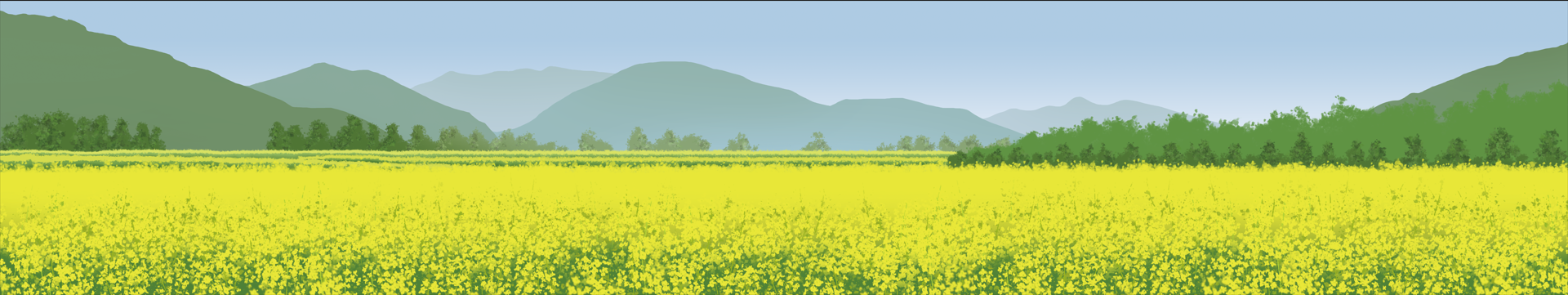 Pickledfish的个人主页（封面预览） - 主页封面设置 - 站酷设计师Pickledfish原创素材 - 站酷ZCOOL