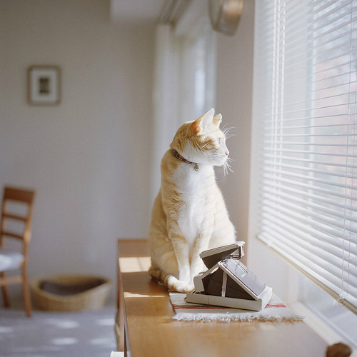 野生团团的个人主页（封面预览） - 主页封面设置 - 站酷设计师野生团团原创素材 - 站酷ZCOOL