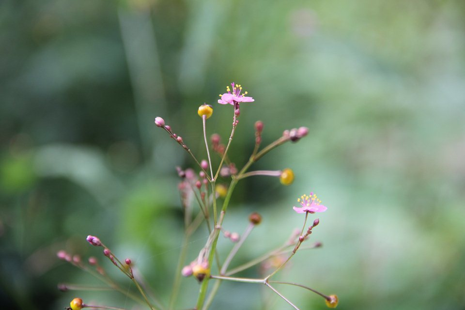 小影子_shadow的個(gè)人主頁(yè)（封面預(yù)覽） - 主頁(yè)封面設(shè)置 - 站酷設(shè)計(jì)師小影子_shadow原創(chuàng)素材 - 站酷ZCOOL