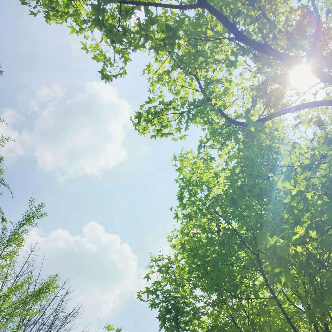 南极姑娘Alice的个人主页（封面预览） - 主页封面设置 - 站酷设计师南极姑娘Alice原创素材 - 站酷ZCOOL