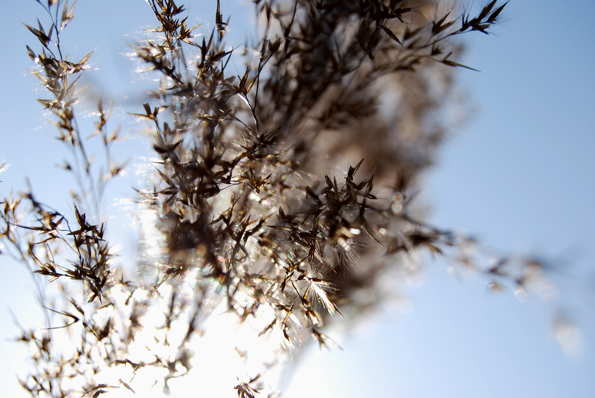 謝昊伊的個(gè)人主頁(yè)（封面預(yù)覽） - 主頁(yè)封面設(shè)置 - 站酷設(shè)計(jì)師謝昊伊原創(chuàng)素材 - 站酷ZCOOL