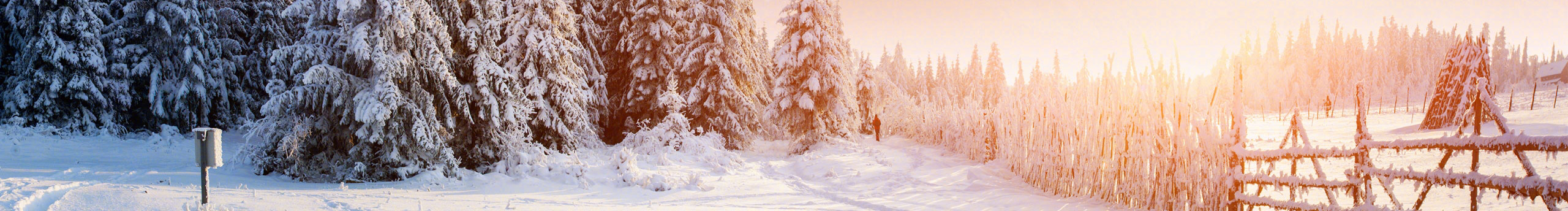 嘴有馋痣的个人主页（封面预览） - 主页封面设置 - 站酷设计师嘴有馋痣原创素材 - 站酷ZCOOL