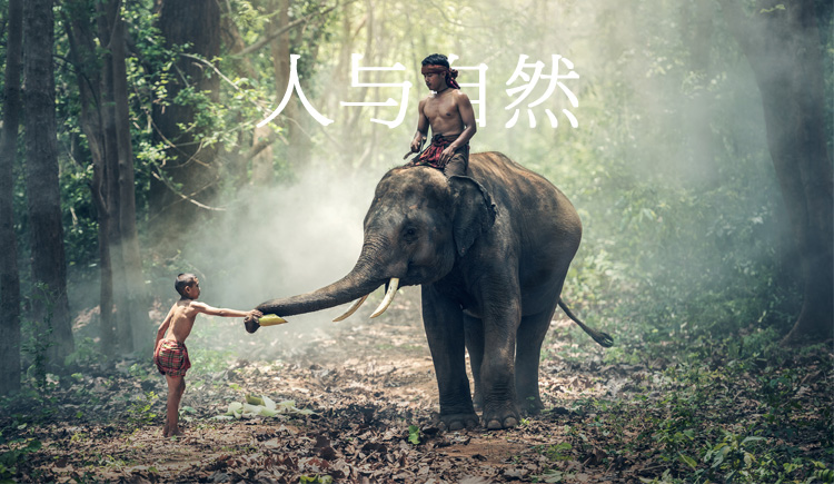 一个P子的个人主页（封面预览） - 主页封面设置 - 站酷设计师一个P子原创素材 - 站酷ZCOOL