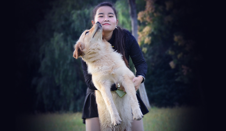 金毛妞妞麻麻的个人主页（封面预览） - 主页封面设置 - 站酷设计师金毛妞妞麻麻原创素材 - 站酷ZCOOL